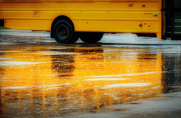 school bus water reflection